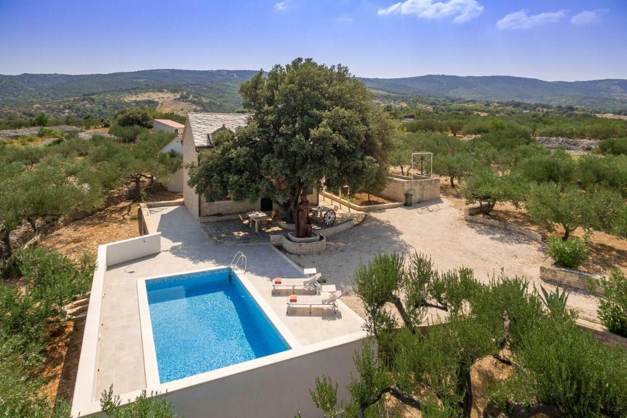 Villa Dubrava Tranquil Retreat Nestled In An Olive Grove For Serene Escapes Пучишча Экстерьер фото