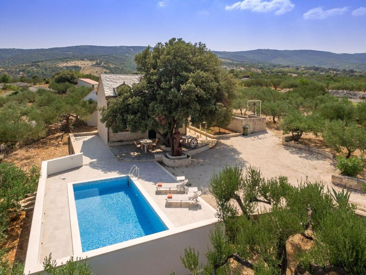 Villa Dubrava Tranquil Retreat Nestled In An Olive Grove For Serene Escapes Пучишча Экстерьер фото